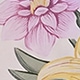 彩色