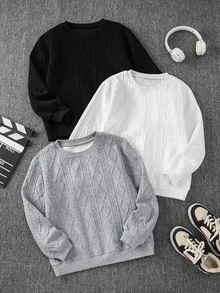 SHEIN 3件組買2送1兒童青少年男孩休閒基礎紋理針織圓領衛衣，黑色衛衣 白色衛衣 灰色衛衣，適合秋季、學校、家庭聚會、度假、派對、秋季穿搭、冬季穿搭 - 彩色 - 查看 6