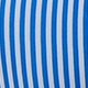 Blue and White
