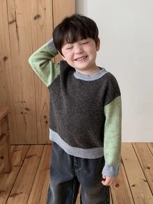 Dazy Kids Baby Boy Round Neck Colorblock Sweater, Autumn/Winter - Coffee Brown - View 7