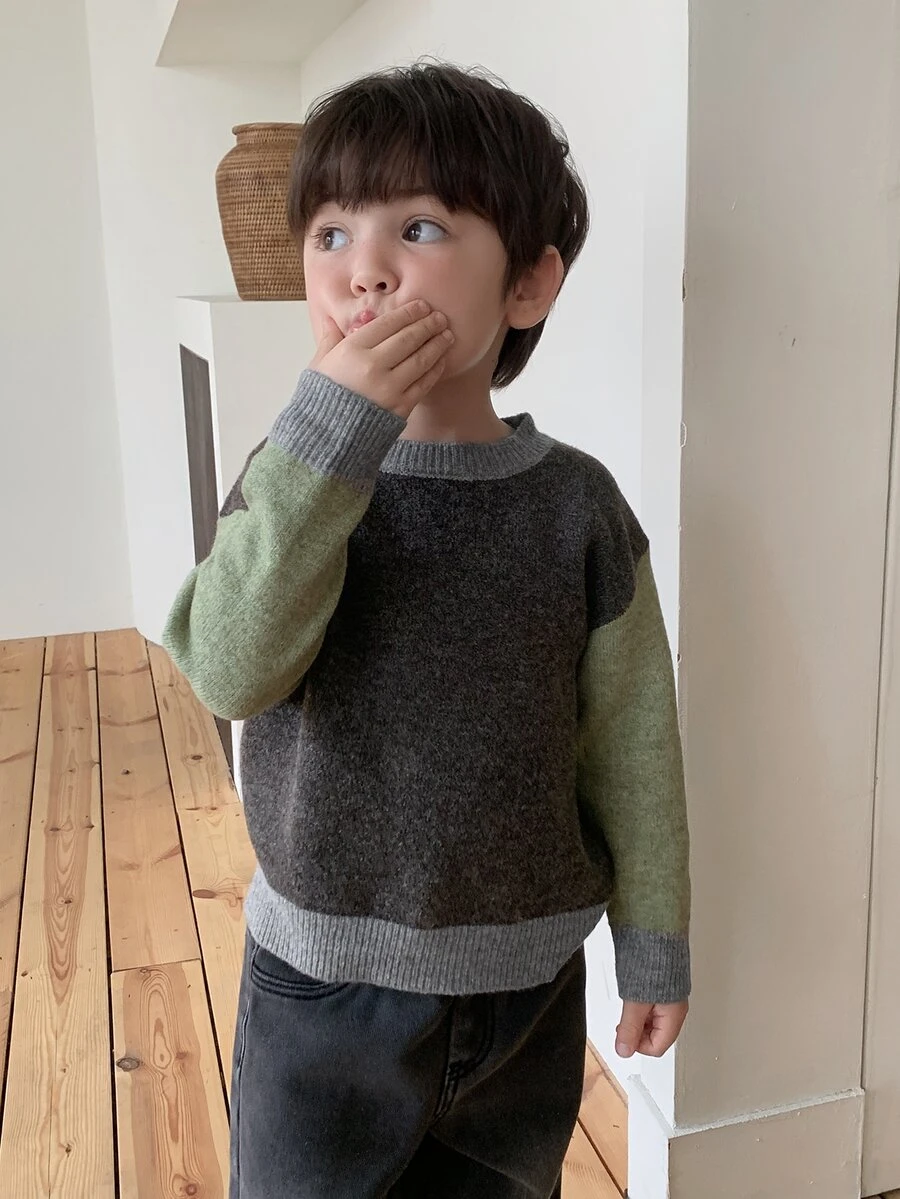 Dazy Kids Baby Boy Round Neck Colorblock Sweater, Autumn/Winter - Coffee Brown - View 1