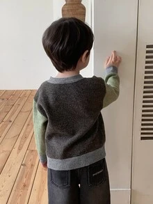 Dazy Kids Baby Boy Round Neck Colorblock Sweater, Autumn/Winter - Coffee Brown - View 2