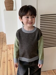 Dazy Kids Baby Boy Round Neck Colorblock Sweater, Autumn/Winter - Coffee Brown - View 6