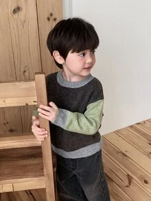 Dazy Kids Baby Boy Round Neck Colorblock Sweater, Autumn/Winter - Coffee Brown - View 3