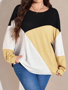 SHEIN LUNE 大尺碼休閒撞色圓領燈籠袖衛衣，秋季大尺碼女裝 - 彩色 - 查看 4