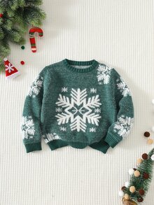 Kids Young Boy Young Boy Snowflake & Plant Pattern Crew Neck Long Sleeve Pullover Autumn Sweater Suitable For Christmas - Multicolor - View 9