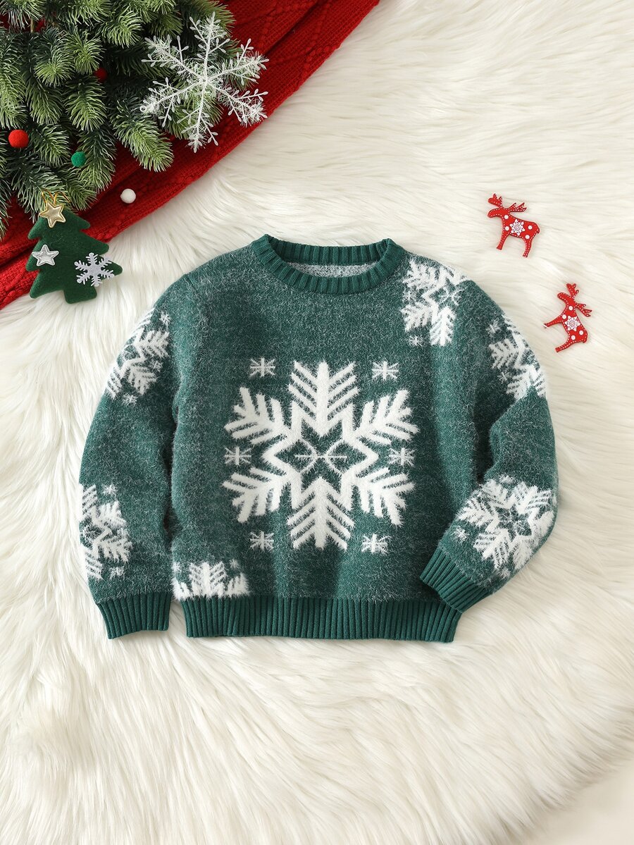 Kids Young Boy Young Boy Snowflake & Plant Pattern Crew Neck Long Sleeve Pullover Autumn Sweater Suitable For Christmas