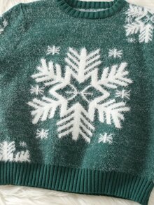 Kids Young Boy Young Boy Snowflake & Plant Pattern Crew Neck Long Sleeve Pullover Autumn Sweater Suitable For Christmas - Multicolor - View 5