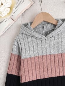 SHEIN Baby Girl Color Block Patchwork Loose Fleece Brushed Ribbed Elastic Fabric Hooded Pullover Top Basic Ribbed Leggings Suitable For Winter - Multicolor - View 8