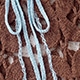 Coklat