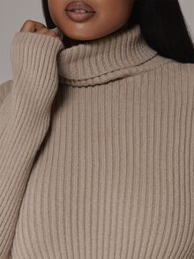 MUSERA Plus Size Beige Ribbed Turtleneck Knit Mini Sweater Dress Spring Summer Casual Everyday Day Outfit Going Out - Camel - View 6