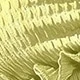鵝黃色