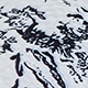 黑與白