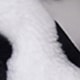 Black and White