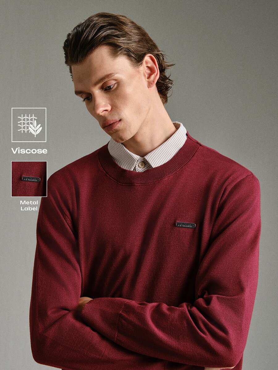 Calmiston Men's Casual Versatile Daily Wear Long Sleeve Sweater Festival Boys Fall/Winter Daily New Pull, Sweaters