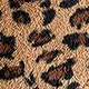 متعدد الألوان