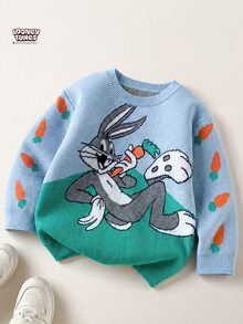 LOONEY TUNES X SHEIN Sweater Kasual Lengan Panjang Leher Bulat Motif Kartun Anak Laki-Laki - Biru - View 7