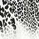 Black and White