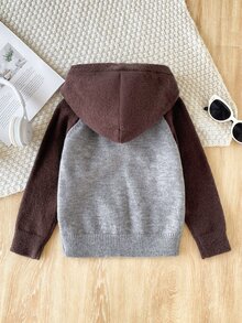 Young Boy Two Tone Raglan Sleeve Half Button Placket Hooded Sweater - Grey - View 2