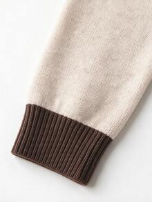 SHEIN Fall Minimalist Notch V Neck Solid Long Sleeve Knit Top - Apricot - View 5