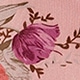 彩色