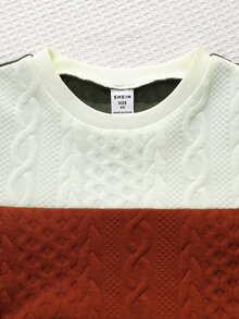 SHEIN 兒童小男孩寬鬆休閒簡約舒適圓領套頭衫字母圖案慢跑褲套裝 - 彩色 - 查看 4