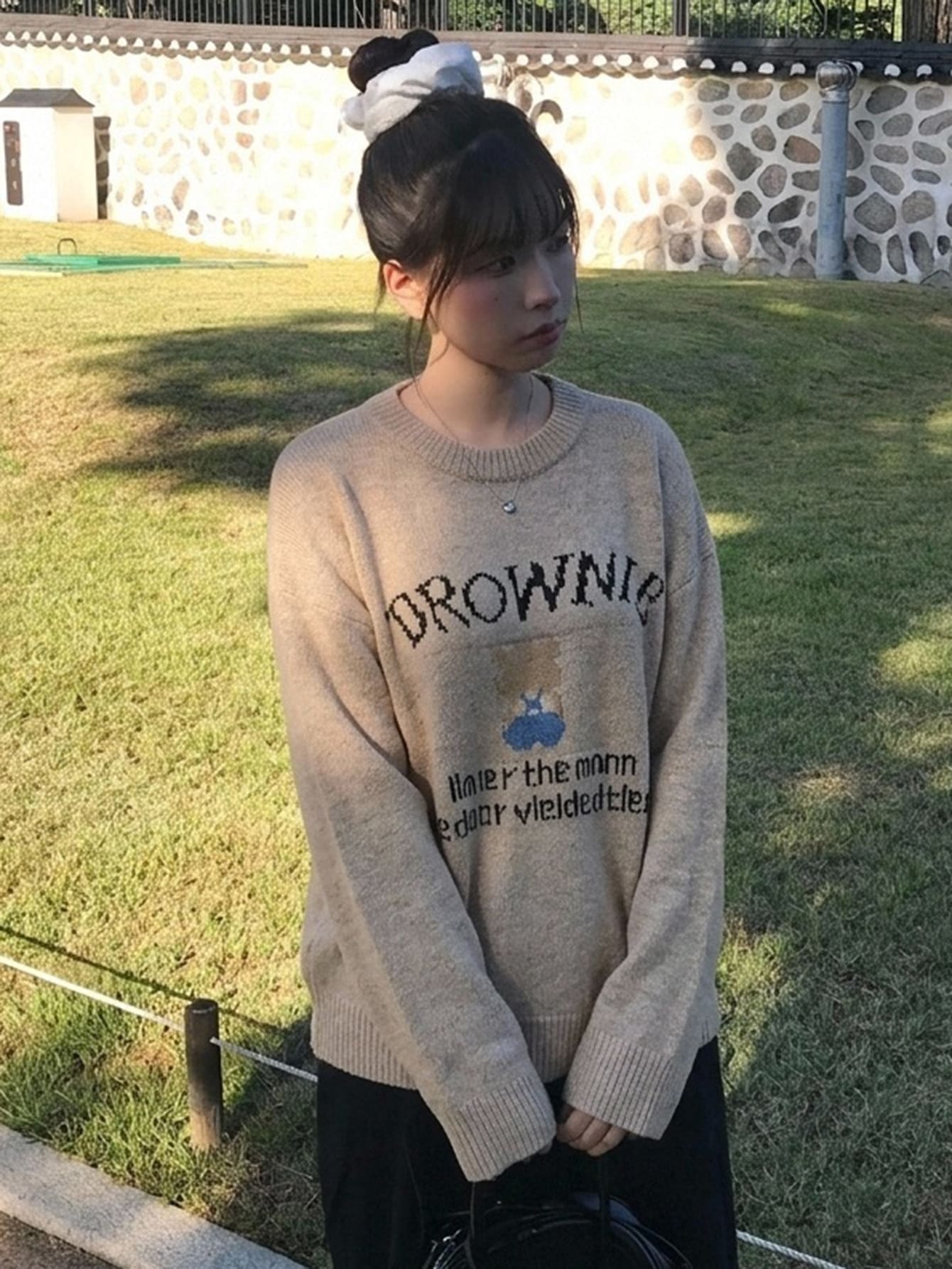 DAZY Women's Contrast Letter Pattern Embroidered Loose Long Sleeve Crew Neck Casual Daily Vacation Korean Street Style Autumn/Winter Knit Sweater - Khaki - View 1