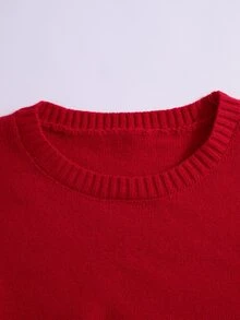 Rusticease Plus Size Red Ribbed Round Neck Long Sleeve Sweater Cozy Casual Fall Winter 2026 - Red - View 5