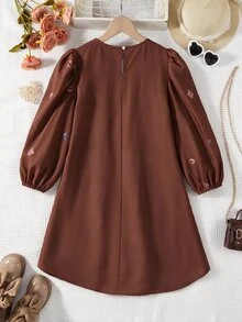 Tween Girl Tween Girl) Brown Lantern Sleeve Embroidered Cute Round Neck Long Sleeve Dress, Suitable For Birthday Party And Daily Wear - Coffee Brown - View 2