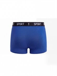 Dozemod Kids Tween Boy Sporty Casual Colorblock Letter Elastic Waist Boxer Briefs 5pcs/Pack - Multicolor - View 3