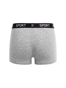 Dozemod Kids Tween Boy Sporty Casual Colorblock Letter Elastic Waist Boxer Briefs 5pcs/Pack - Multicolor - View 14