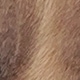 Mocha Brown