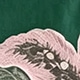 米色