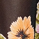 彩色