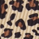 متعدد الألوان