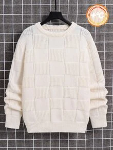 SHEIN 青少年男孩休閒米色純色格紋套頭毛衣，聖誕節，適合秋冬/冬季，學校，家庭聚會，返校，運動，玩耍，生日派對，拍照，度假，節日 - 米色 - 查看 3