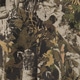 軍綠色