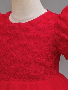 SHEIN Glamorique Kids 公主風女孩蓬蓬紗裙 兒童生日表演正式禮服 新生兒短袖婚禮花童裙 - 紅色 - 查看 6