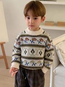 Hapijoa Boys (Small) Casual Patterned Long Sleeve Thick Sweater Top, Autumn/Winter - Beige - View 1