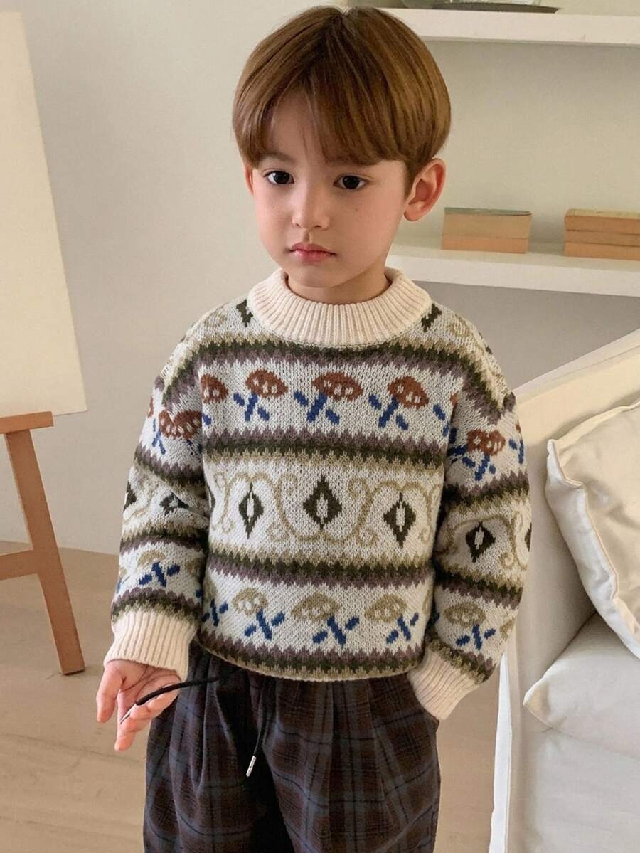 Hapijoa Boys (Small) Casual Patterned Long Sleeve Thick Sweater Top, Autumn/Winter - Beige - View 1