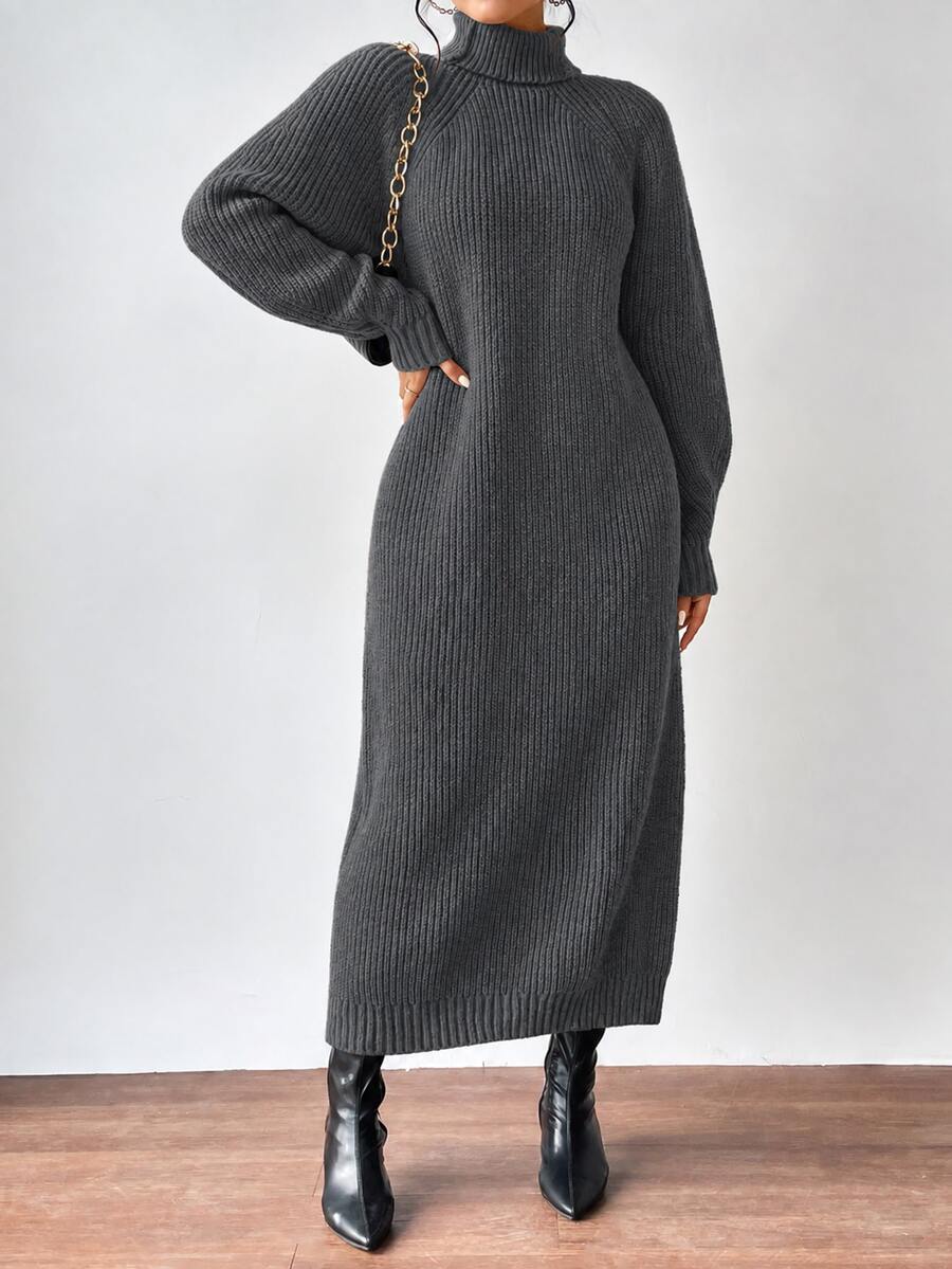 Aalyst Turtleneck Raglan Sleeve Sweater Dress Without Belt Fall Winter Cloth For Women - Dark Grey - View 1
