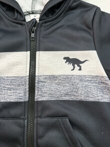 SHEIN 小男孩時尚休閒恐龍印花連帽拉鍊長袖衛衣外套，保暖內裡，舒適簡約，秋冬款 - 黑色 - 查看 7