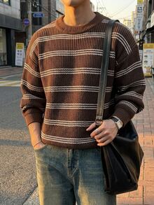 DAZY 男士秋季條紋圓領長袖休閒毛衣 - 彩色 - 查看 11