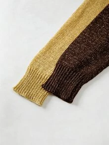 SHEIN 秋冬拼接撞色V領針織毛衣，對比分色長袖寬鬆上衣 - 咖啡棕 - 查看 4