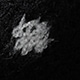 màu đen