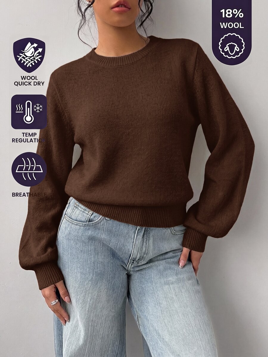 SHEIN BASICS 女款休閒百搭米白色圓領長袖針織毛衣,秋季女裝,適合上班、日常、居家、辦公室穿搭 - 棕色 - 查看 1