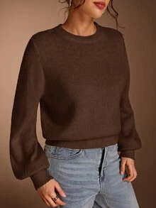 SHEIN BASICS 女款休閒百搭米白色圓領長袖針織毛衣，秋季女裝，適合上班、日常、居家、辦公室穿搭 - 棕色 - 查看 8