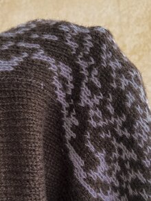 Soleia Atasan Rajut Lengan Raglan Leher Lubang Kancing Motif Hewan untuk Wanita - Coffee Brown - View 8