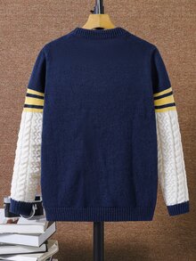 SHEIN 兒童青少年男孩舒適親膚休閒百搭拼色條紋針織圓領長袖套頭毛衣，適合通勤、上學、日常休閒、度假旅行、運動，秋冬穿著 - 杏色 - 查看 3