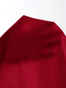SHEIN SXY 春夏高領半拉鍊短版白色長袖T恤 - 酒紅色 - 查看 7